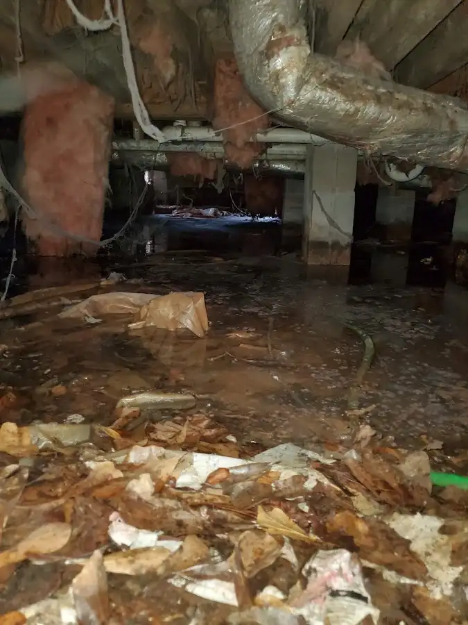 Crawl space flood assessment for Commercial Water Damage Restoration in Kahaluu